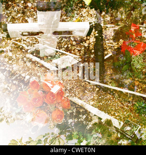 Double exposed photo de roses blanches, crucifix, cailloux dans un cimetière Banque D'Images