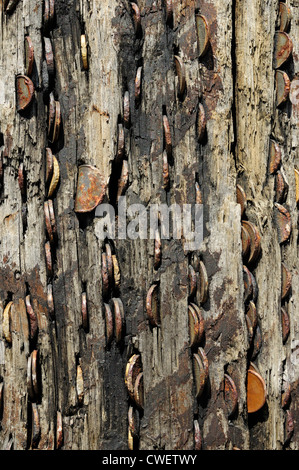 Chemin de croix à O Cebreiro, Galice, traditionnellement couverts avec suceur plat-embeded coins par les pèlerins sur le chemin de Compostelle Banque D'Images