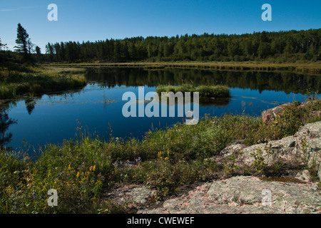 Manitoba Canada Whiteshell Banque D'Images