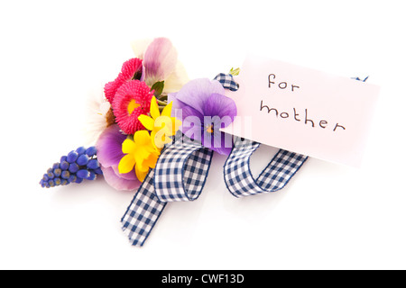Fleurs cueillies pour mère isolée sur fond blanc Banque D'Images