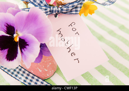 Fleurs cueillies pour mère isolée sur fond blanc Banque D'Images
