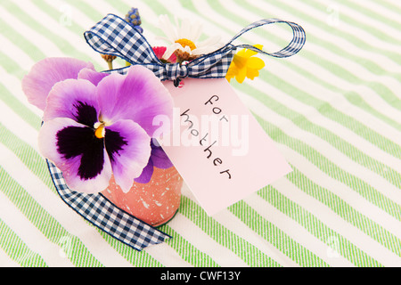 Fleurs cueillies pour mère isolée sur fond blanc Banque D'Images