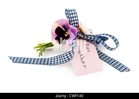 Fleurs cueillies pour mère isolée sur fond blanc Banque D'Images