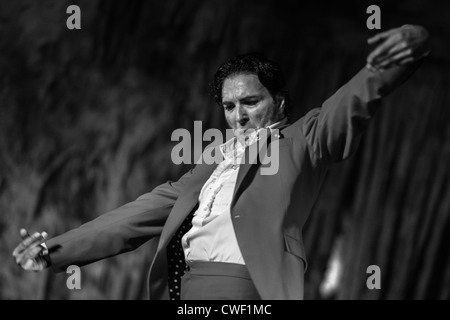 Les danseurs de flamenco de l'Antonio El Pipa collectifs de danse en spectacle dans les grottes de Nerja en Espagne en 2012. Banque D'Images