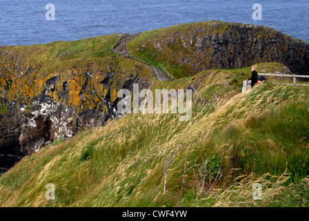 Près du pont suspendu Carrick-a-Rede , à Larrybane, Route Côtière, dans le comté d'Antrim, Ulster, Irlande du Nord, au Royaume-Uni, en Europe. Banque D'Images