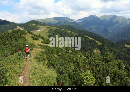 Sentier de randonnée près du sommet du Babky, pic en Rohace, avec vue sur la montagne, plage Rohace Parc National des Hautes Tatras, en Slovaquie. Banque D'Images