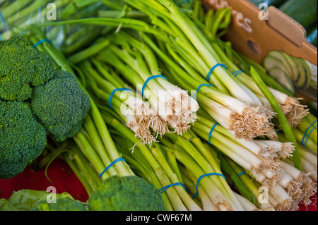 Biologiques frais de la ferme cultivés maison saine livré les oignons verts et le brocoli à la vente à un marché de producteurs en plein air Banque D'Images