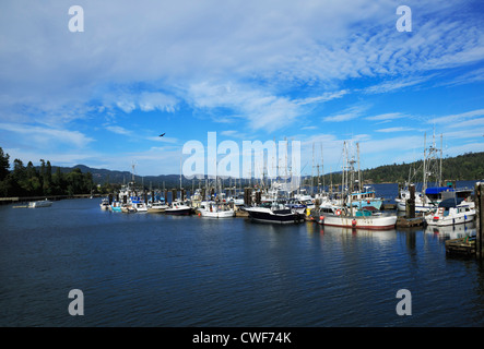 Bateaux de pêche commerciale et quelques bateaux de plaisance sont amarrés au quai de Sooke Harbour sur l'île de Vancouver. Banque D'Images