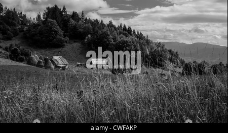 Paysage agricole traditionnel et la pratique dans le parc national de Piatra Craiului, Brasov, en Transylvanie, Roumanie Banque D'Images