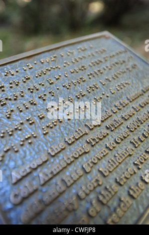 USA Langue bilingue anglais et en braille côte à côte sur une plaque dans la réserve naturelle d'état d'Armstrong Redwoods Banque D'Images
