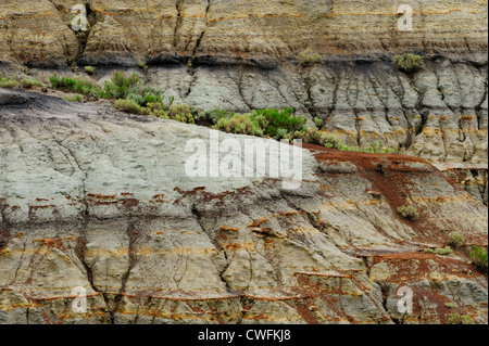 Fortement érodé la bentonite hills, Theodore Roosevelt NP (Unité Sud), Dakota du Nord, USA Banque D'Images