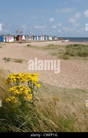 Chapel Point, Lincolnshire, Angleterre, Royaume-Uni Banque D'Images