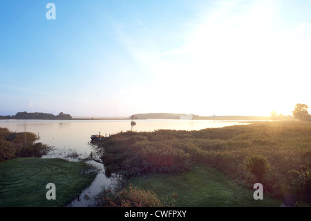 Bodden à Neuenkirchen, Ruegen rétroéclairé Banque D'Images