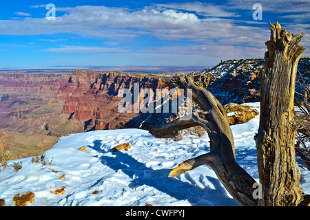 Le Parc National du Grand Canyon au Desert View Watchtower Banque D'Images