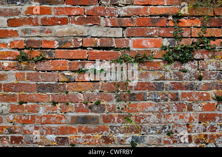 Vieux mur de brique rural / briques montrant des signes d'âge et de décomposition du mortier de chaux. Refus d'accès, sécurité informatique / concept de pare-feu. Banque D'Images