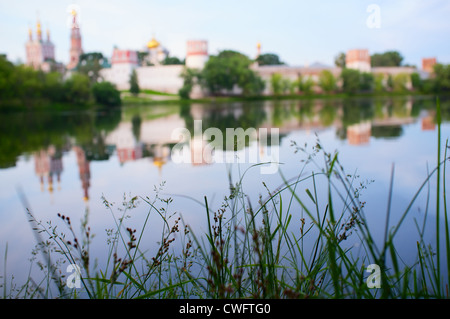 Tôt le matin voir le monastère de Novodevichiy Moscou en Russie. Se concentrer sur une herbe. Banque D'Images