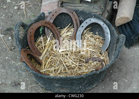 Carthorse chaussures de la Shire horses at the Weald et Downland Open Air Museum. Banque D'Images