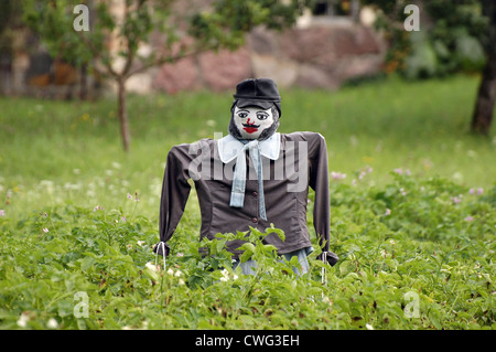 Épouvantail mâle garde champ de pommes de terre dans le jardin Banque D'Images