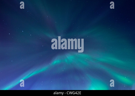 Aurora Borealis Lofoten, Norvège Banque D'Images