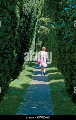 Woman walking through avenue d'if à St James Church Yard Angleterre Cotswolds Chipping Campden Banque D'Images