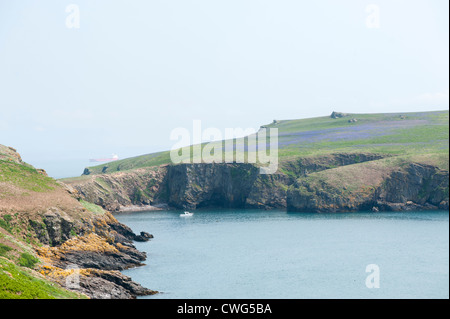 Afficher le long de la côte de Skomer vers le cou Banque D'Images