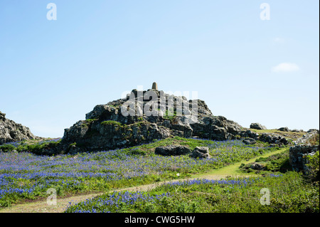 Trig Point ou Point de triangulation sur Skomer Island, dans le sud du Pays de Galles, Royaume-Uni Banque D'Images