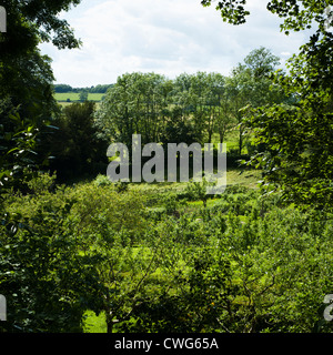 Vue sur le jardin de l'entrée optique, Painswick Rococo Garden, Gloucestershire, Angleterre, Royaume-Uni Banque D'Images