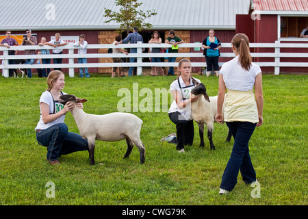 Concurrents dans le concours de moutons de la jeunesse 4H au provincial de labour et Parade & Foire Agricole, Dundas, PEI Banque D'Images