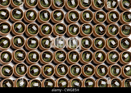 Des grenades sont placés sur une table avant qu'une grenade gamme cadre d'un exercice d'entraînement de Base du Corps des Marines à Quantico (Virginie) le 21 août 2012. Banque D'Images