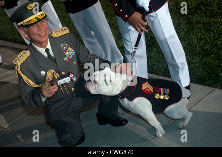 Chesty XIII, la mascotte officielle de l'US Marine Corps est présenté avec un os apporté du Japon par le Chef du personnel de l'auto-défense japonaise à la fin d'un défilé vendredi soir chez Marine Barracks Washington le 25 mai 2012. Banque D'Images