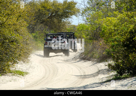Four wheel drive vehicles driving on sand road on the Outer Banks, North Carolina Banque D'Images