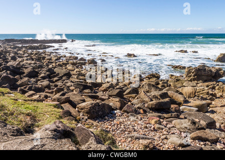 Roches volcaniques au point Arkwright, Sunshine Coast, Queensland, Australie Banque D'Images