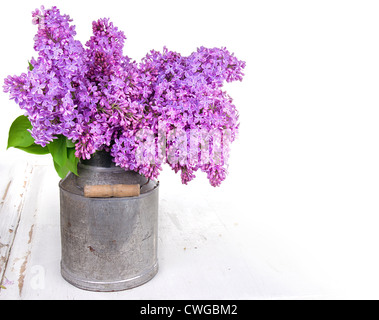 Bouquet de lilas dans un vieux vase sur fond blanc Banque D'Images