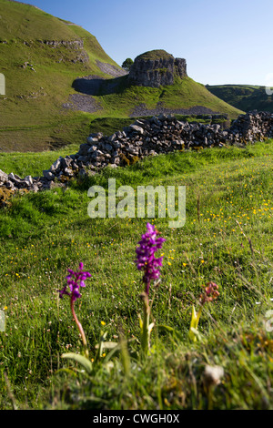 Rocher connu sous le nom de Peters Pierre dans Cressbrookdale Angleterre Derbyshire Peak District Banque D'Images