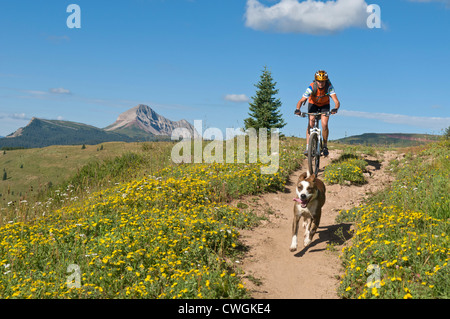 Une femme et son chien vtt les Molas Pass section du Colorado Trail dans la Forêt Nationale de San Juan, Silverton, Col Banque D'Images