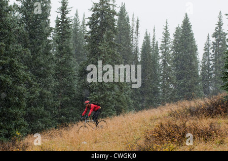 Un homme à vtt dans une tempête de neige sur les molas Pass, San Juan National Forest, Silverton, Colorado. Banque D'Images