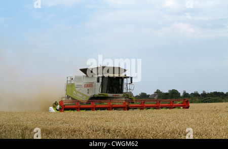 Rassemblement de moissonneuse-batteuse récolte récolte Cambridgeshire Banque D'Images