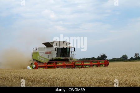 Rassemblement de moissonneuse-batteuse récolte récolte Cambridgeshire Banque D'Images