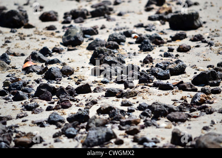 Plage des roches volcaniques sur Banque D'Images