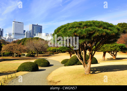 Toits de Tokyo vu du Jardin National de Shinjuku Gyoen en hiver Banque D'Images