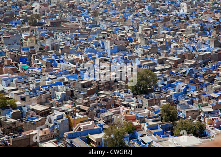 Voir plus de maisons dans la ville bleue de Jodhpur, Rajasthan, India Banque D'Images