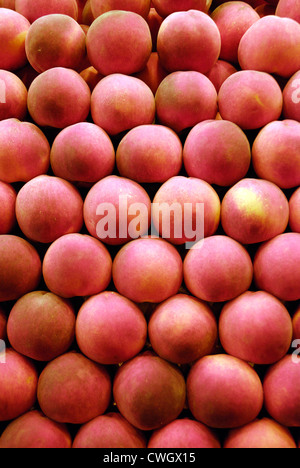 Lignes de pêches en vente dans le marché Banque D'Images