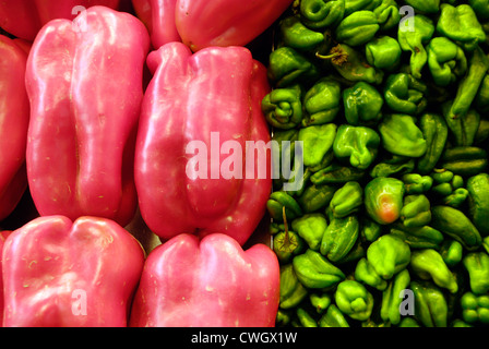 Poivrons rouges et verts piments Scotch Bonnet en vente dans le marché espagnol Banque D'Images