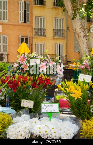 Fleurs à vendre les jours de marché à Aix-en-Provence, France Banque D'Images