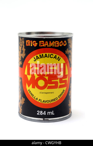 Peut De Big Bamboo Jamaican mousse vanille verre Banque D'Images