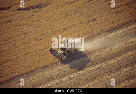 Le tracteur de la récolte de cultures Banque D'Images