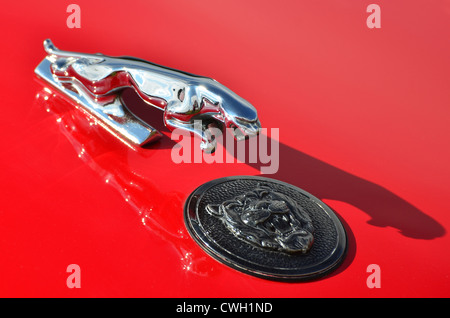 Close up de voitures Jaguar emblème de capot et d'un insigne sur une voiture rouge vif Banque D'Images