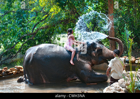 Le bain de l'éléphant avec le visiteur, Ponda Plantation d'épices tropicales, Goa, Inde Banque D'Images