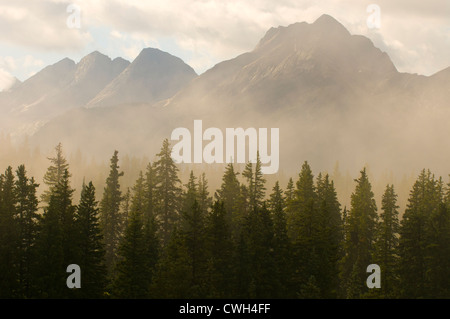 La gamme Genadier et brume matinale, San Juan National Forest, Silverton, Colorado. Banque D'Images