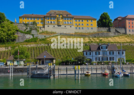 Meersburg, vignobles de l'État, le lac de Constance, Constance, Bade-Wurtemberg, Allemagne, Europe Banque D'Images